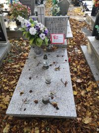 cmentarz i grób powstańca