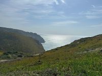 Widok na ocean