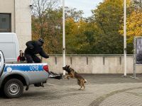 Uczniowie podczas warsztatów