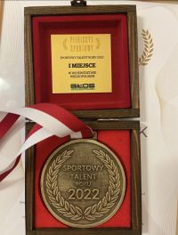 Medal Dawida