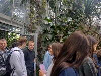 Uczniowie w palmiarni