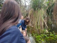 Uczniowie w palmiarni