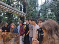 Uczniowie w palmiarni