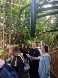 Uczniowie w palmiarni