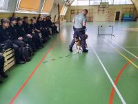 Funkcjonariusz z psem i klasy mundurowe na sali gimnastycznej