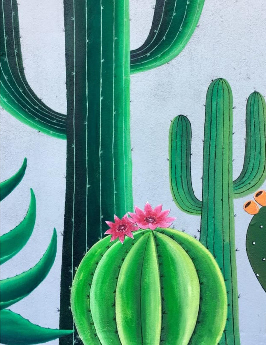 Un poco de México en Swarzędz