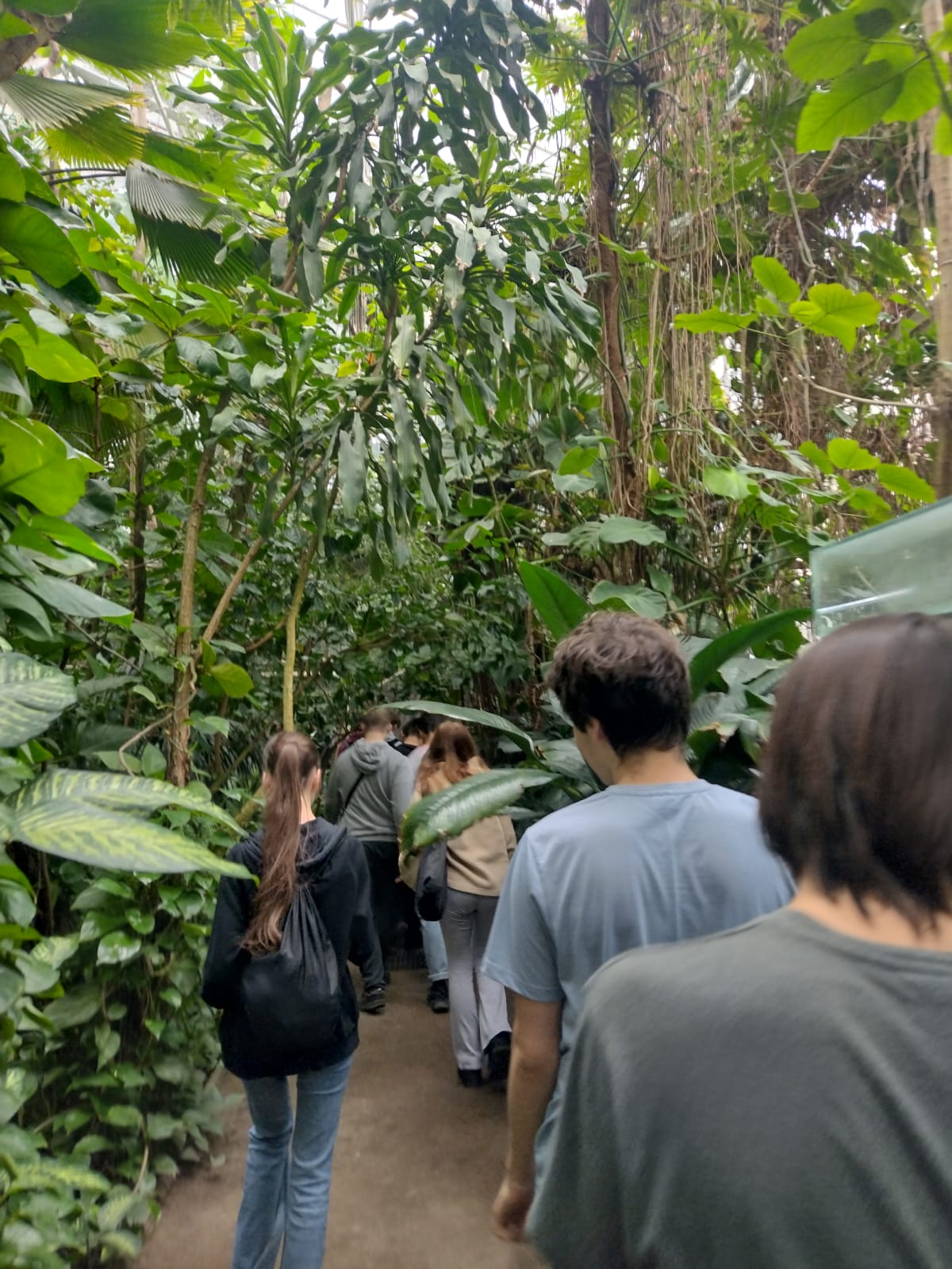 Zajęcia terenowe w palmiarni.
